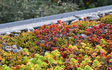 the cost of Shipmeadow green roof installation