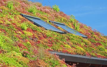 Shipmeadow living roof systems