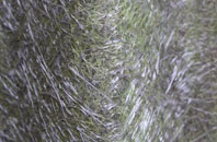 Shipmeadow fibreglass roof work